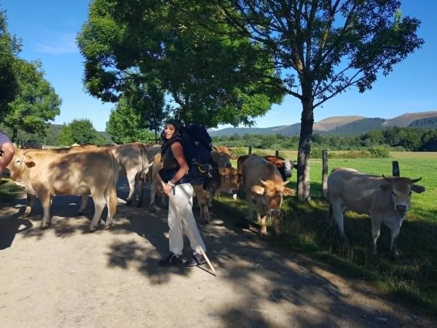camino-de-santiago - camino-frances - pelerinaj - spania - santiago-de-compostela - gastronomie - mancare-de-calatorie - experienta-personala - jurnal-de-calatorie - tortilla-espanola - bocadillo - tapas - leon - roncesvalles - saint-jean-pied-de-port - albergue - pelerini - drumul-sfantului-iacob - galicia - navarra - bodegas-irache - fantana-de-vin - tinto-de-verano - paella - caracatita - fructe-de-mare - calatorii-culinare - g4food - experiente-gastronomice