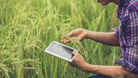 O companie românească de IT dezvoltă soluții pentru digitalizarea agriculturii / Fermierii își pot gestiona mai eficient activitatea din teren