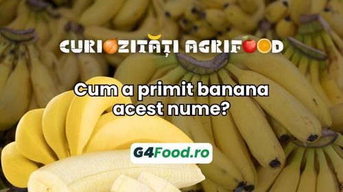 Curiozități agrifood - 12 august: Cum a primit banana acest nume