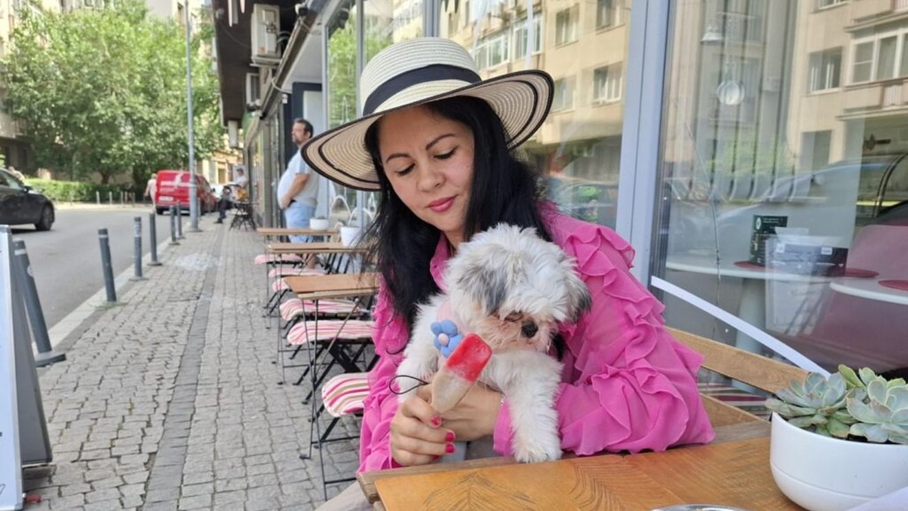 Înghețată pentru câini: Afacerea care răcorește cățeii și topește inimile stăpânilor (VIDEO&FOTO)