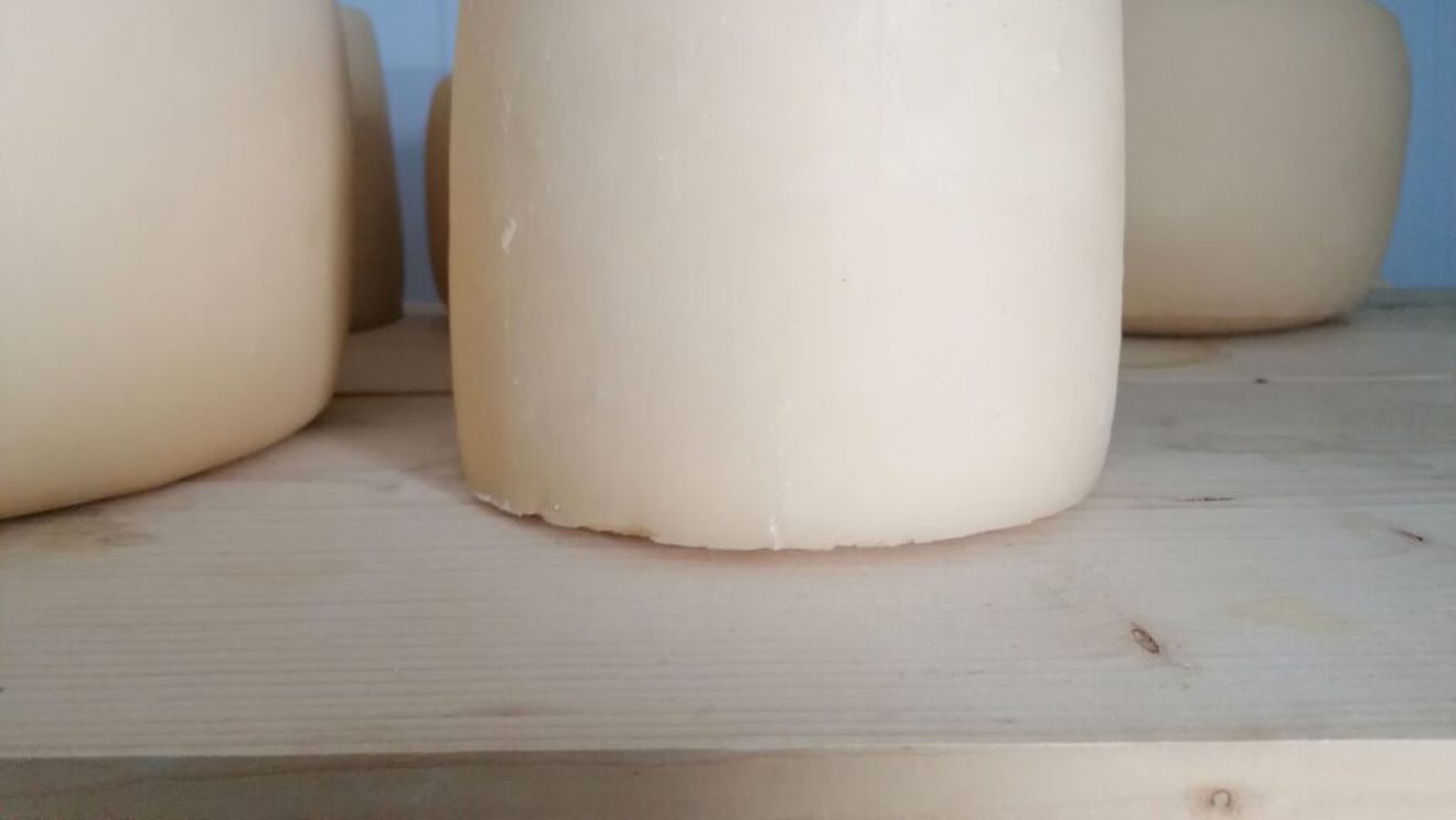 Roțile de cașcaval din Căian; soții Todea și-au dezvoltat ferma cu ajutorul fondurilor europene