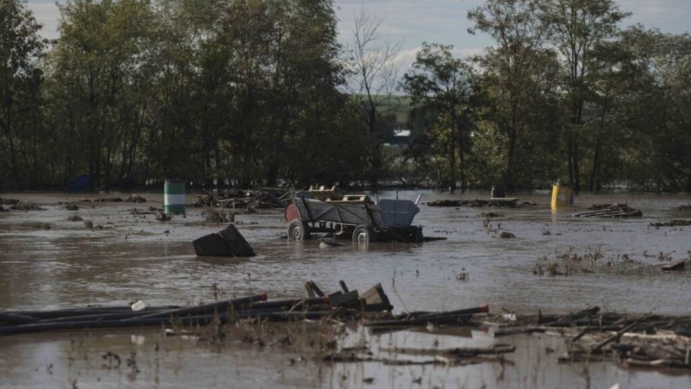 Galaţi: Pagube de peste 44 milioane de lei produse în sectorul agricol de inundaţiile din 14-15 septembrie / Suprafaţa totală a culturilor calamitate se ridică la aproape 13.000 de hectare / Cele mai afectate sunt culturile de porumb și floarea soarelui