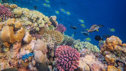 Un antreprenor deținător de restaurant, săli de evenimente și hotel în Târgu Jiu construiește cu bani europeni un parc acvatic cu ștrand, acvarii cu rechini și spații expoziționale