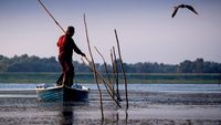 Delta Dunării / 6.500 de hectare de amenajări piscicole au fost transformate în terenuri agricole din 2018 până în prezent