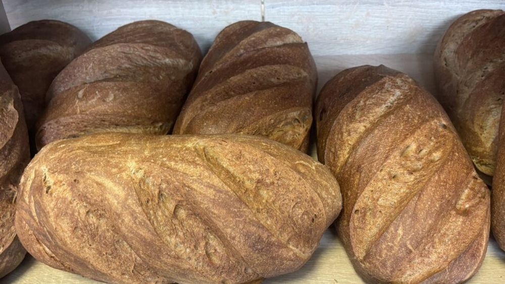 Laborator de patiserie din Gorj, închis de inspectorii sanitari veterinari pentru o lună / Valoarea totală a amenzilor aplicate în județ este de aproximativ 100.000 de lei