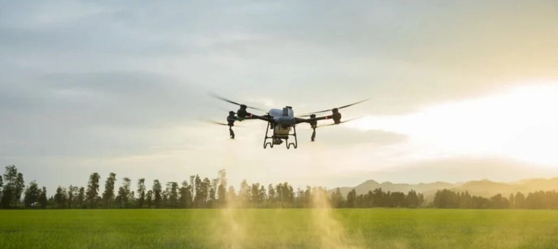 Virusuri pentru a combate bacteriilor, roboți pentru agricultură și senzori inteligenți care detectează alimentele alterate. Inovațiile tehnologice care transformă agricultura și industria alimentară