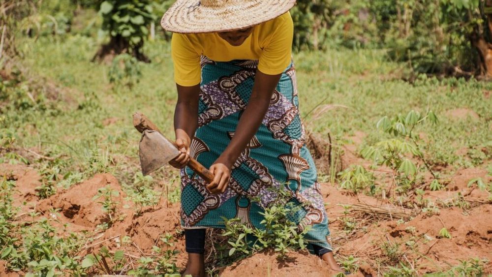 Uniunea Africană a decis înființarea unei agenții pentru siguranța alimentară la nivelul întregului continent. Obiectivul este și creșterea competitivității pe piețe a produselor alimentare africane