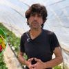 VIDEO FOTO | Serele din vârful dealului, unde cresc tot anul cele mai bune căpșuni din Spania/ Fermier: Căpșunile de aici au un gust special datorită climei și solului