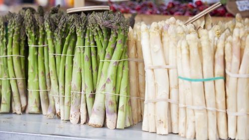 „Aurul alb” al Germaniei devine un lux tot mai greu de susținut: Unul din patru producători de sparanghel alb riscă să își închidă afacerea în acest an