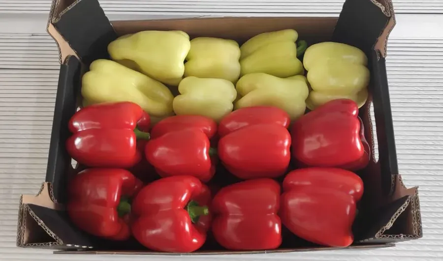 Euro 2024, fructe, legume, fotbal, Campionatul European de Fotbal 