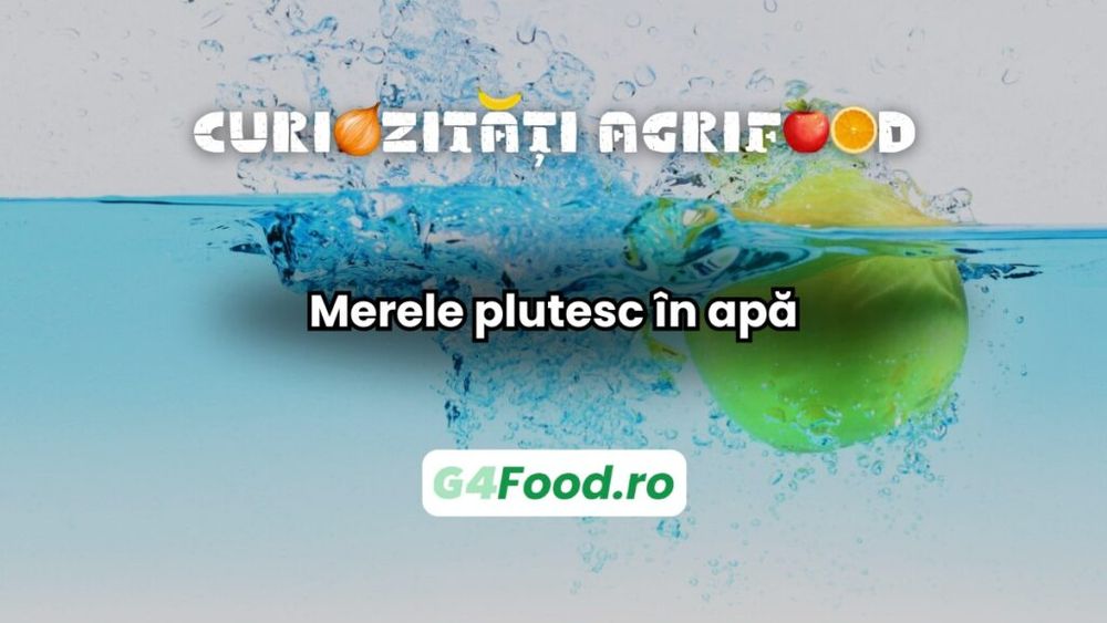 Curiozități agri-food 22 ianuarie: Merele plutesc în apă / Conțin 25% aer, ceea ce le face mai ușoare decât apa