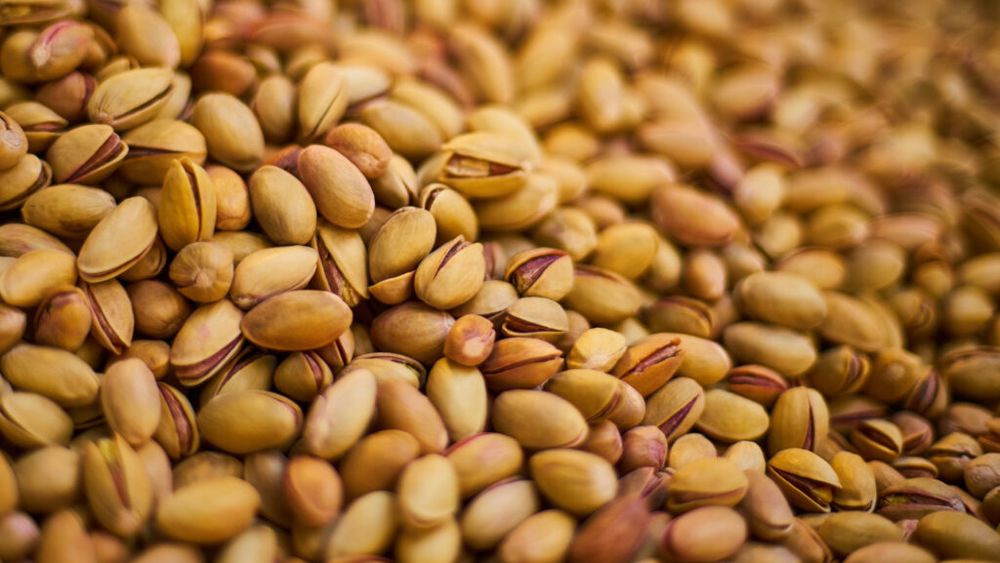 Spania: Fisticul devine cultura-refugiu a fermierilor din Aragón în plină criză agricolă / Fermierii îl văd ca alternativă la culturile care nu mai aduc profit