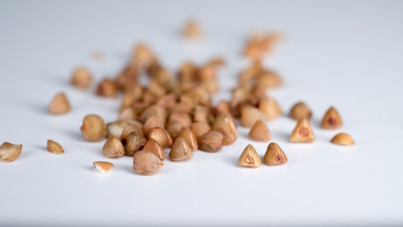 Ce este hrișca și cum o folosim în mâncare? În Bucovina se fac sarmale sau pilaf din această plantă