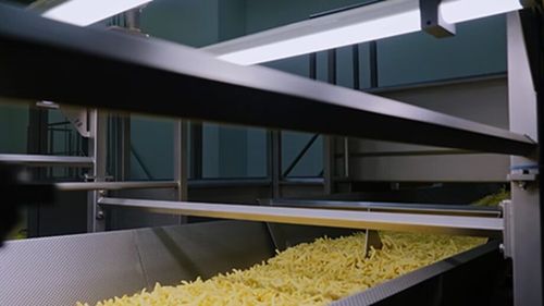 Start-up-ul belgian Polysense atrage 2 milioane de euro pentru a reduce risipa alimentară cu soluții AI revoluționare / Inteligența artificială promite eficiență și zero risipă în industria alimentară