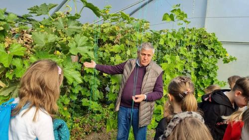 Grădini urbane pe balcon. Costel Vânătoru, BRGV Buzău: „Avem peste 200 de specii de plante aromatice și medicinale care pot fi crescute chiar în apartament”