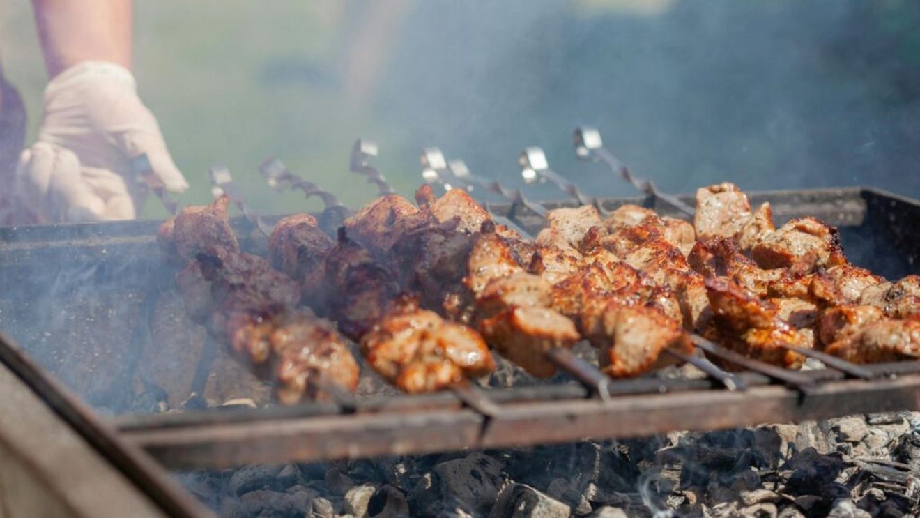 Misiune militară italiană împotriva porcilor mistreți / Târgul Internațional de Agricultură de la Novi Sad, mai scurt cu o zi / Va susține ministrul musulman și vegan al agriculturii din Germania plafonarea prețului pentru kebab? - Dr. Abraham, Analiza Industriei Porcului, săptămâna 19