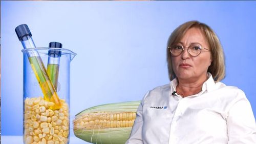 Video | Ce costuri se află în spatele realizării unui nou hibrid / Maria Cîrja: În spatele acestuia sunt milioane de dolari și o muncă de minim 7 ani !