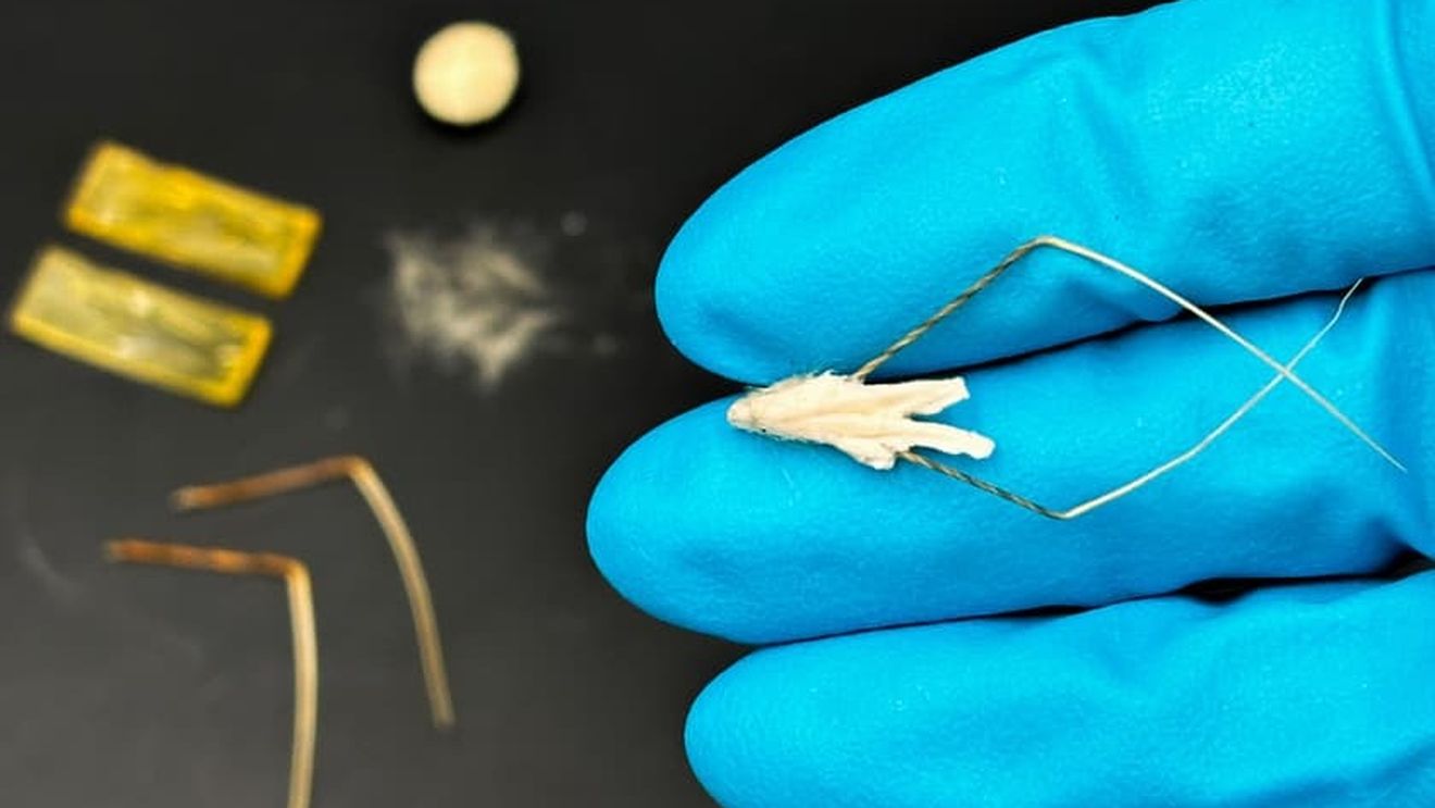 VIDEO „Semințe robotizate” care se plantează singure, inspirate de ovăzul sălbatic, dezvoltate de cercetători