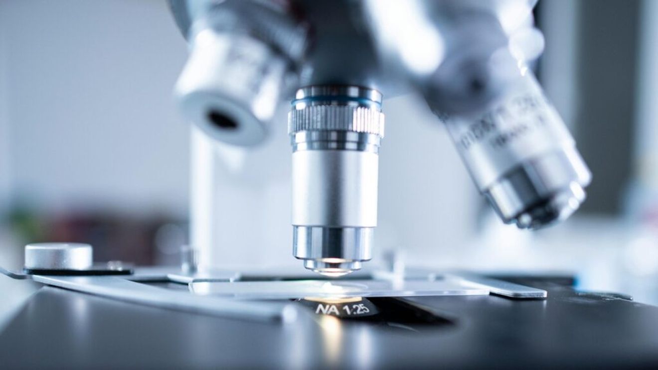 Toxiinfecțiile alimentare cauzate în România de cele mai răspândite bacterii de pe continentul european, Campylobacter și Salmonella: peste 2.400 de cazuri înregistrate în 2023, semnificativ mai multe decât în anul anterior  - raport EFSA ( I )