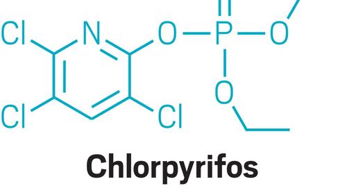 Adio, Chlorpyrifos? EFSA a comunicat că insecticidul ar putea avea, printre altele, efecte negative asupra sănătății copiilor