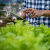 Centrele de date pentru AI consumă miliarde de litri de apă. Noile sisteme de răcire reduc consumul, dar cresc presiunea pe energie