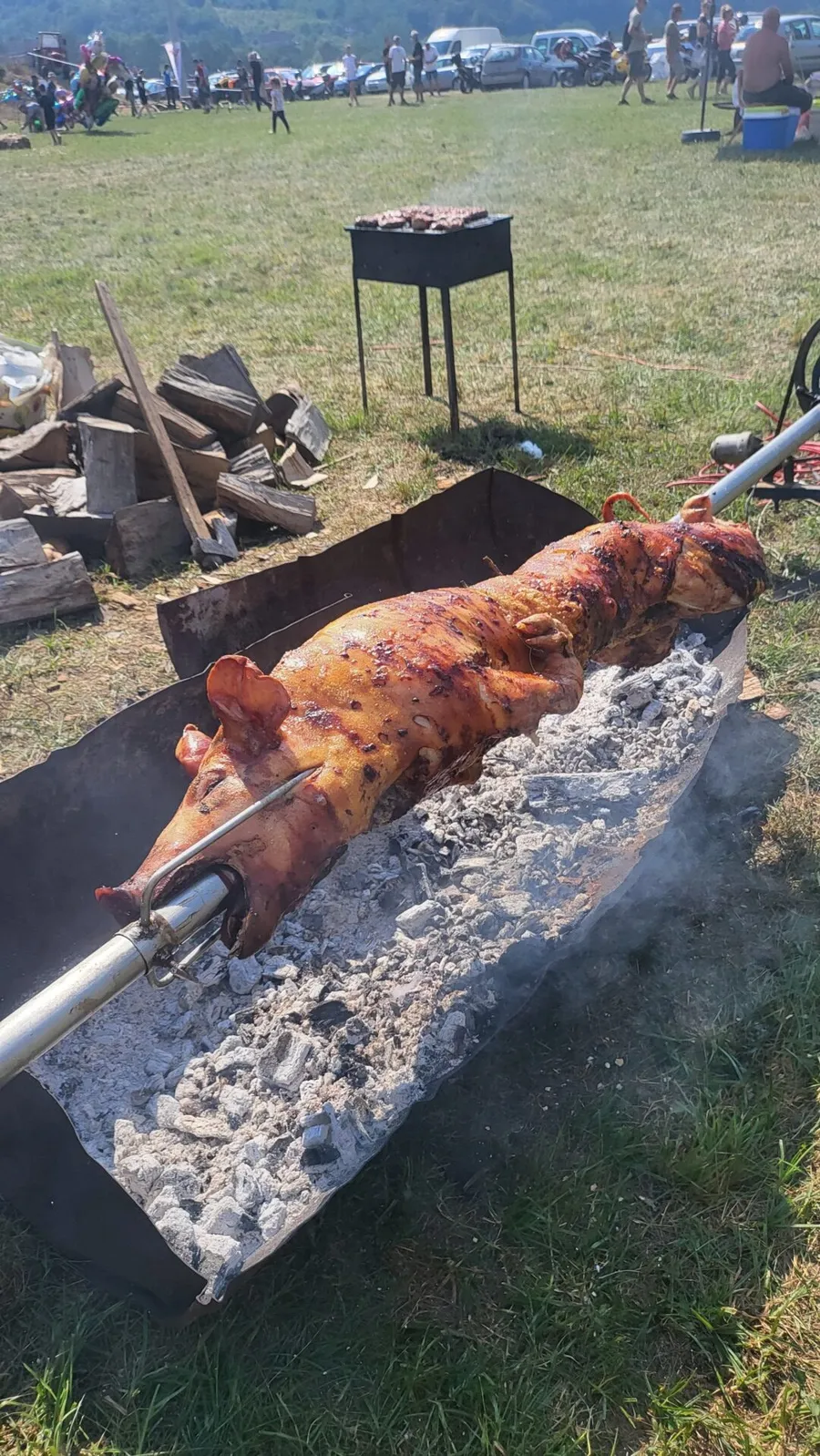 campionatul mondial fudulii