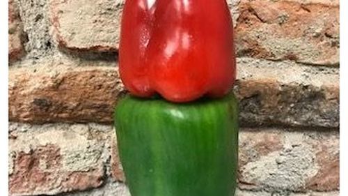 Profesorul clujean Avram Fițiu lovește din nou: el se declară șocat că fanii celui mai mare magazin cu produse bio din Cluj-Napoca sunt în procent de peste 99% oameni nu neapărat bogați, ci bolnavi, dar 1 kg de ardei  costă 60 de lei