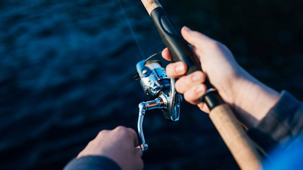 Guvernul a aprobat, joi, suplimentarea bugetului Ministerului Agriculturii cu 122 milioane de lei / Banii vor fi folosiți pentru reabilitarea infrastructurii de îmbunătăţiri funciare şi pentru reîntregirea Fondului European de Pescui