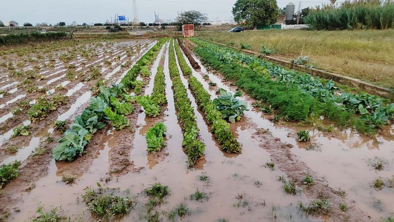 Miliardarul spaniol Amancio Ortega, proprietarul brand-ului Zara, donează un milion de euro fermierilor din zona Valenciei/ Banii vor fi folosiți pentru reabilitarea terenurilor agricole devastate de furtuna puternică ce a lovit Valencia toamna trecută/ Fermierii, printre cei mai afectați de inundații