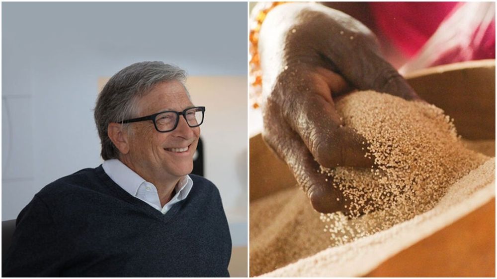 Bill Gates: Această „cereală pierdută” din Africa este un „aliment al viitorului” datorită celor 5 calități speciale pe care le are / Ce beneficii pentru sănătate aduce fonio