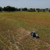 Agricultură și biodiversitate: România cere reguli europene adaptate realităților din ferme