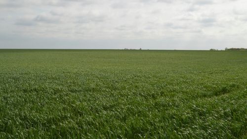 Tranzacțiile de terenuri agricole din Dolj indică o piață în curs de maturizare / Comasarea terenurilor și reducerea fragmentării devin dominante