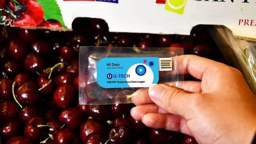 O firmă a lansat un stick USB de unică folosință de monitorizare a temperaturii din containerele cu fructe și legume / La destinație, raportul PDF este generat automat în PC, fără software