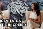 INTERVIU VIDEO | Diana Palotaș (psiholog): „Longevitatea începe în creier” / Somnul, alimentația și hidratarea, printre cele mai importante obiceiuri pentru o viață lungă