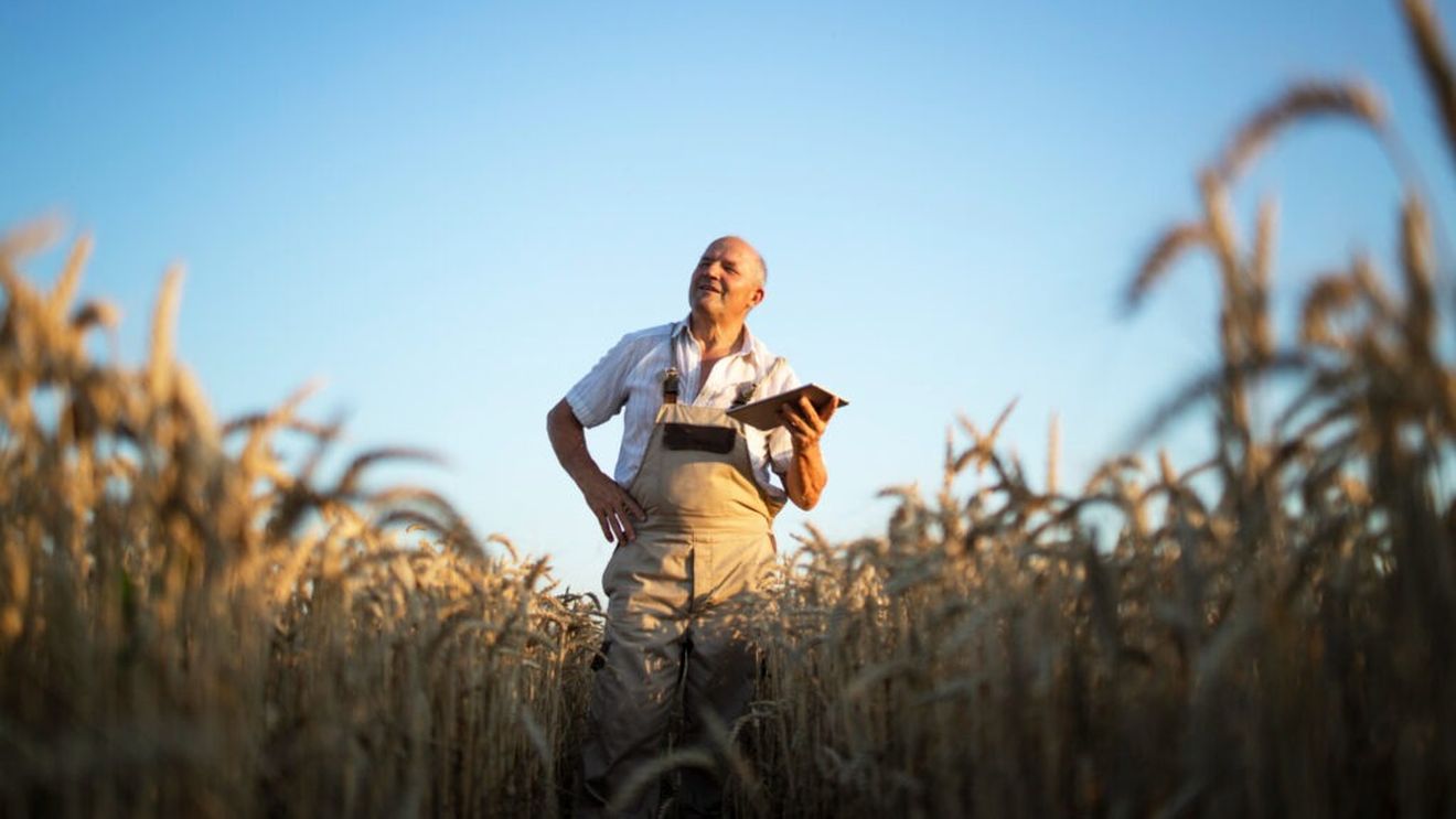 Franţa, o putere agricolă europeană ameninţată de declin / În ultimul deceniu a pierdut 100.000 de ferme