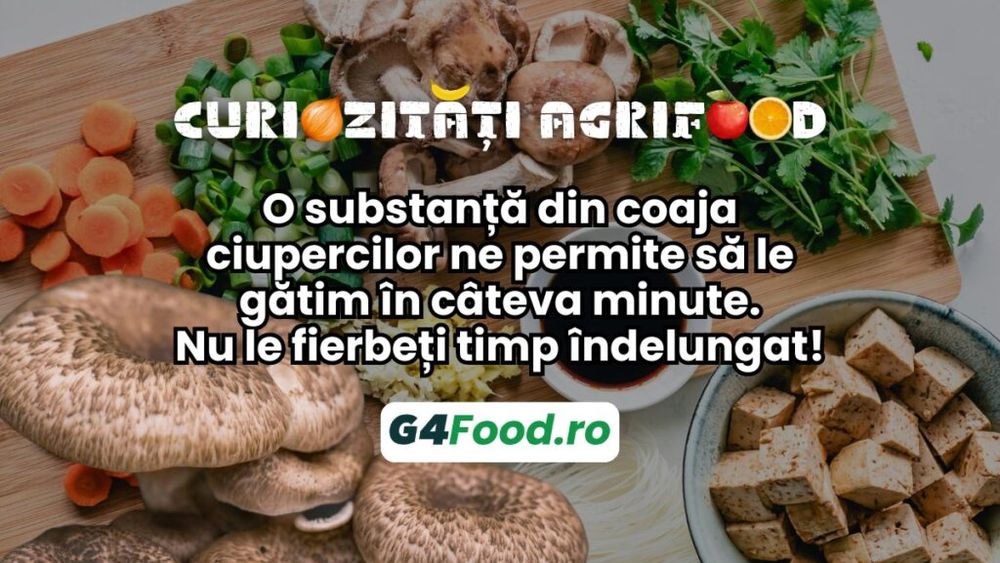 Curiozități agrifood - 13 septembrie: O substanță din coaja ciupercilor ne permite să le gătim în câteva minute. Nu le fierbeți timp îndelungat!