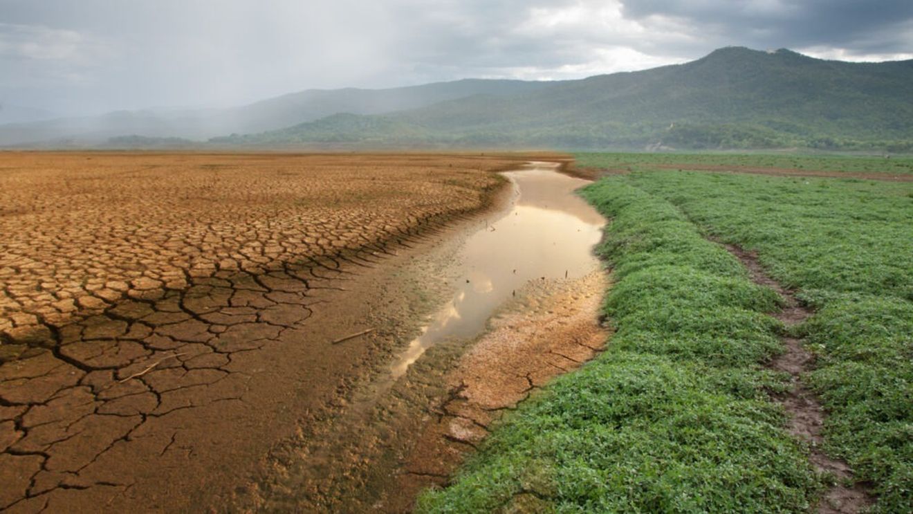 Germania se confruntă cu secetă severă în ultimii ani / Statul investește masiv în natură pentru a proteja rezervele de apă