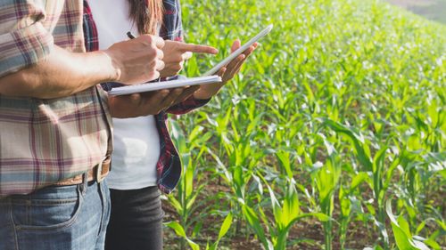 Programul RADAR: cercetătorii merg direct în ferme pentru a identifica problemele reale ale agricultorilor