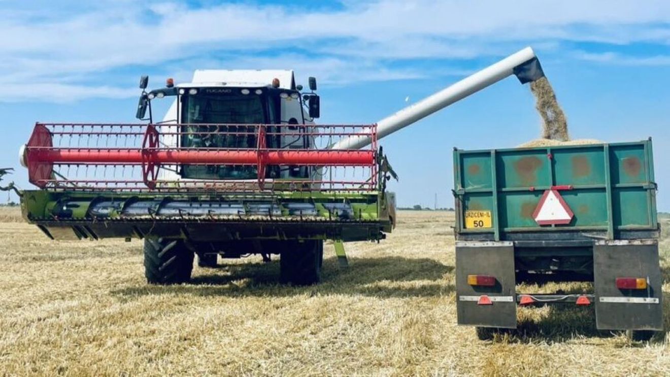 FOTO | Start campanie de recoltare 2025 în Ferma Blagu / Orzul, prima cultură în care a intrat combina / „Ploile din luna mai au salvat lucrurile” - Iulia Blagu, fermier