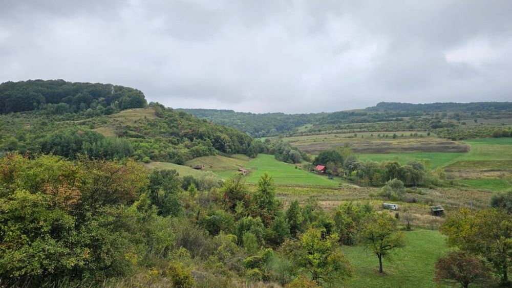 Peste 500 de hectare de pajiști din România vor fi restaurate ecologic în următorii ani, în cadrul unui proiect european