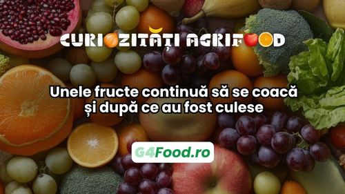Curiozități agri-food: Unele fructe continuă să se coacă și după ce au fost culese / Procesul se numește coacere climacterică