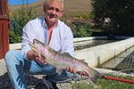Pasiunea pentru pescuit, transformată într-o afacere de familie la Dârlos / Ovidiu Farcaș crește pește, coace pâine și gătește pentru turiști chiar lângă lac