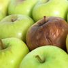 Descoperirea care ar putea reduce risipa uriașă de fructe. Un pliculeț cu argilă pus lângă ele ar putea încetini coacerea în timpul transportului și în supermarketuri