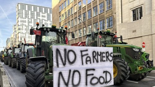 Fermierii români susţin protestele agricultorilor europeni faţă de politicile agricole inechitabile / „Aceste măsuri pun în pericol securitatea alimentară, distrug lanţurile de aprovizionare locale şi afectează veniturile fermierilor europeni”