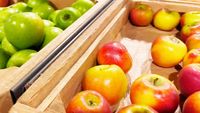 Festivalul Roadelor Toamnei, la Buftea. Producători din toată țara aduc brânzeturi, miere, conserve și produse tradiționale