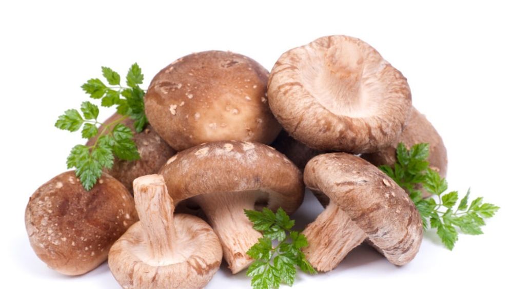 Procurorii australieni fac apel la sentinţa femeii condamnate de otrăvirea cu ciuperci a membrilor familiei