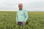 Scăderea cotelor Dunării n-a afectat agricultura din nordul Dobrogei/ Costică Sadîca (fermier, Tulcea): „La noi, colegii din zonă irigă din Lacul Razelm, nu au nicio restricție la apă/ Oricum, agricultura este pentru oamenii cu nervii tari, puternici”