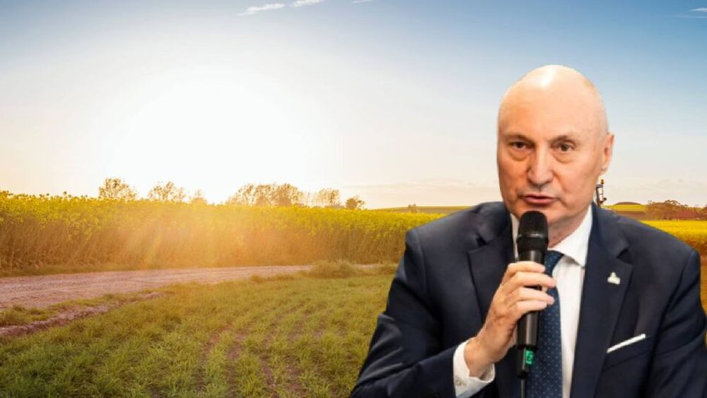 VIDEO | Vasile Iosif (AIPROM): România exportă cereale, dar rămâne dependentă de importuri de produse cu valoare adăugată mare, precum carne de porc, lapte, legume și fructe