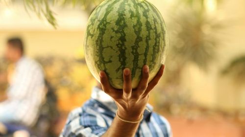 Șase reguli de aur pentru a alege cel mai bun pepene verde/ Specialiștii îți dezvăluie la ce semne să fii atent și îți garantează că dacă ții cont de ele vei alege un pepene verde cu gust perfect