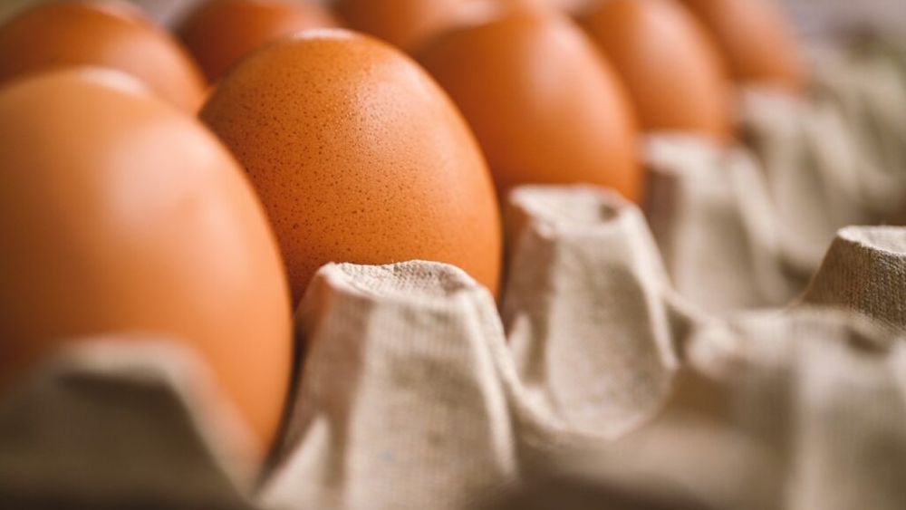 Buzău: Peste 4.000 de ouă cu Salmonella şi 30 de kilograme de carne, retrase de la comercializare de inspectorii DSVSA